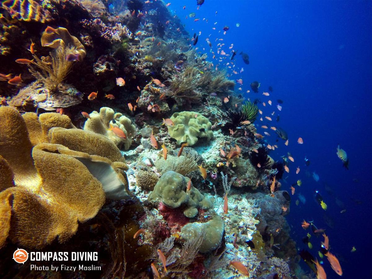 Compass Diving Resort Beloi Kültér fotó